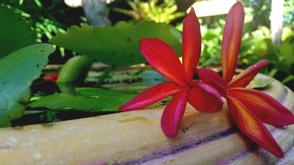 Ao Nang Aonang Guest Home מראה חיצוני תמונה